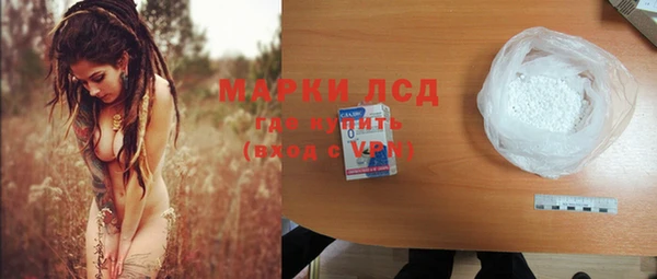 индика Протвино