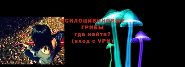 СК Арсеньев