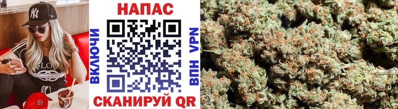 Бошки марихуана THC 21%  Дыгулыбгей 